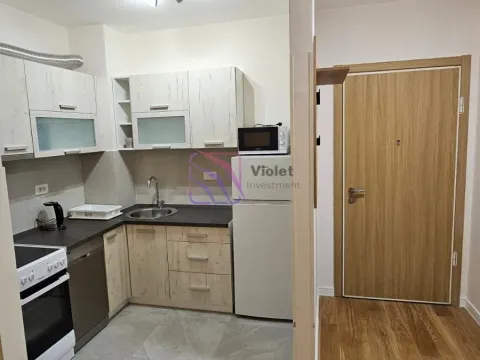 Izdavanje, jednosoban stan, 42m², Central Point, Podgorica - image 2