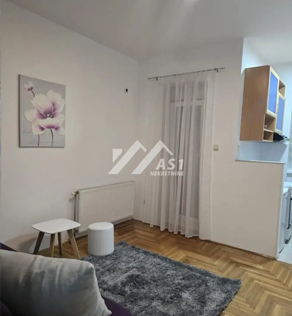 Izdavanje, stan, 24m², Sajam, Novi Sad Sve Podlokacije