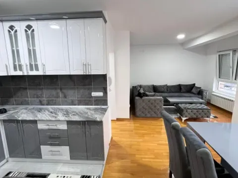 Izdavanje, dvosoban stan, 55m², Karaburma, Palilula Sve Podlokacije - image 3