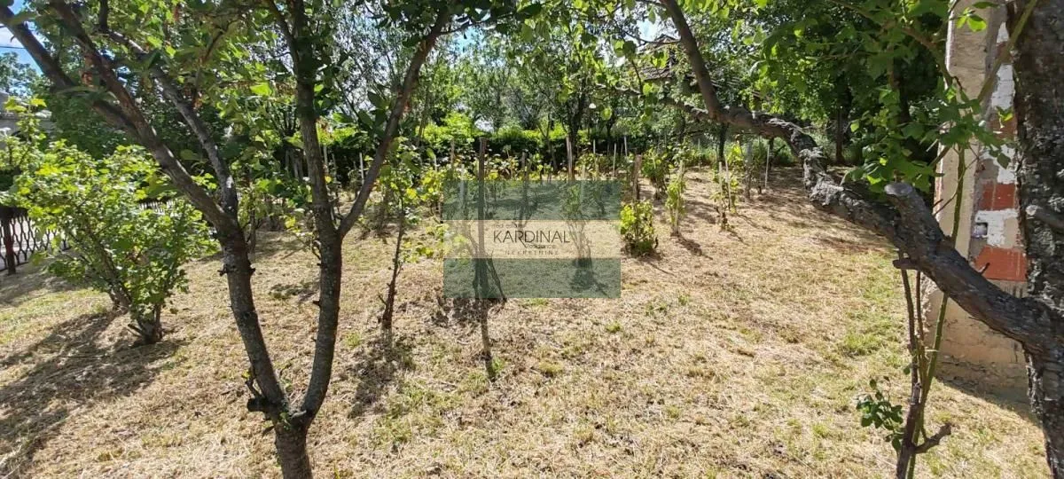 Prodaja, kuća, 250m², Crnče, Jagodina