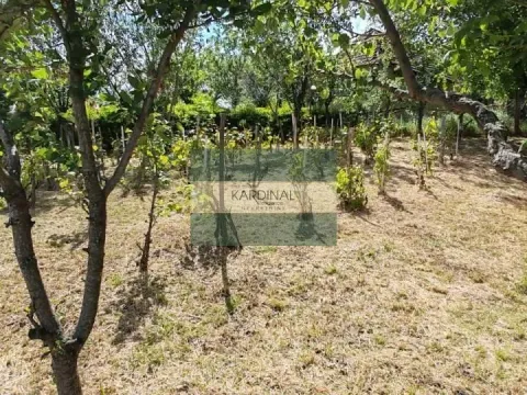 Prodaja, kuća, 250m², Crnče, Jagodina - image 39