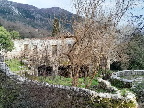 Prodaja, plac, 4700m², Dobrsko Selo, Cetinje - image 7