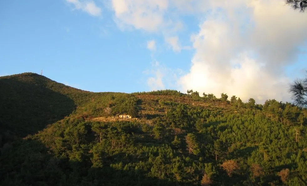 Prodaja, plac, 9500m², Komoševina, Budva