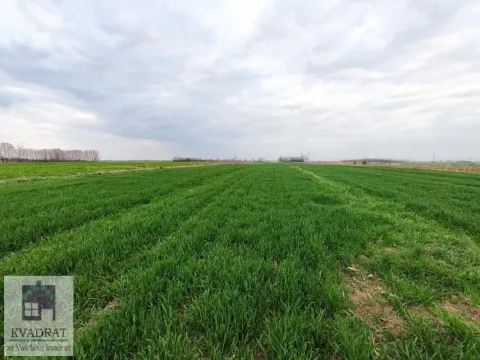 Sale, land lot, 40m², Zvečka, Obrenovac