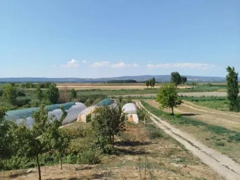 Sale, house, 128m², Kovilj, Novi Sad Sve Podlokacije - image 20