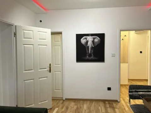 Izdavanje, trosoban stan, 52m², Grbavica, Novi Sad Sve Podlokacije - image 3