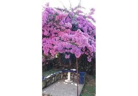 Prodaja, kuća, 122m², Krašići, Tivat - image 12