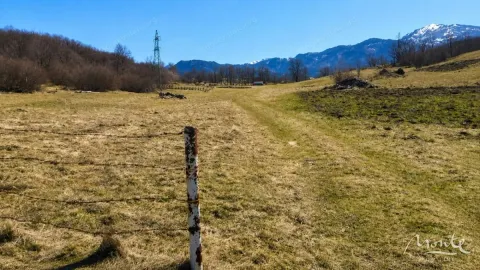 Prodaja, plac, 8000m², Kolašin, Crna Gora - image 4