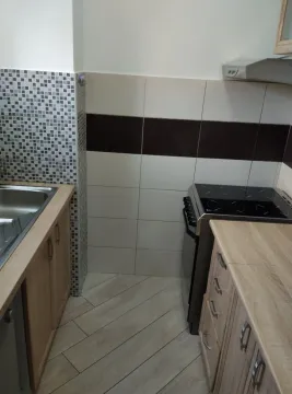 Kuhinja sa drvenim elementima i šporetom. - image 20