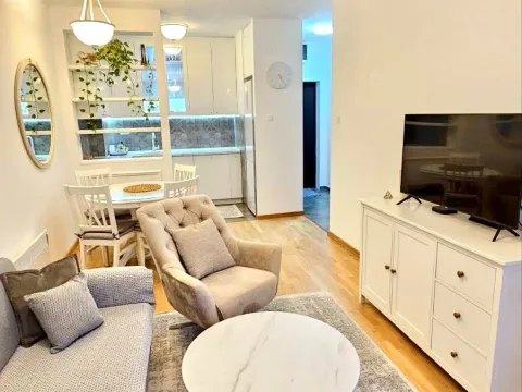 Rent, one bedroom apartment, 45m², Pobrežje, Podgorica - image 1