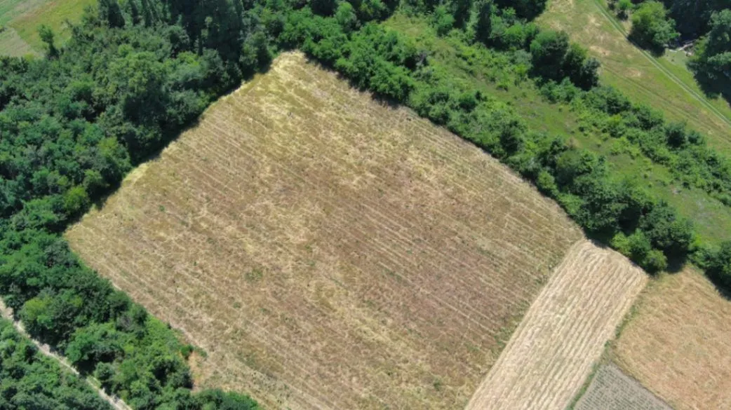 Prodaja, plac, 17000m², Zeta, Podgorica