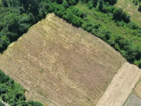 Prodaja, plac, 17000m², Zeta, Podgorica - image 5