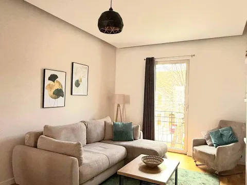 Izdavanje, jednosoban stan, 50m², Centar, Cetinje - image 3