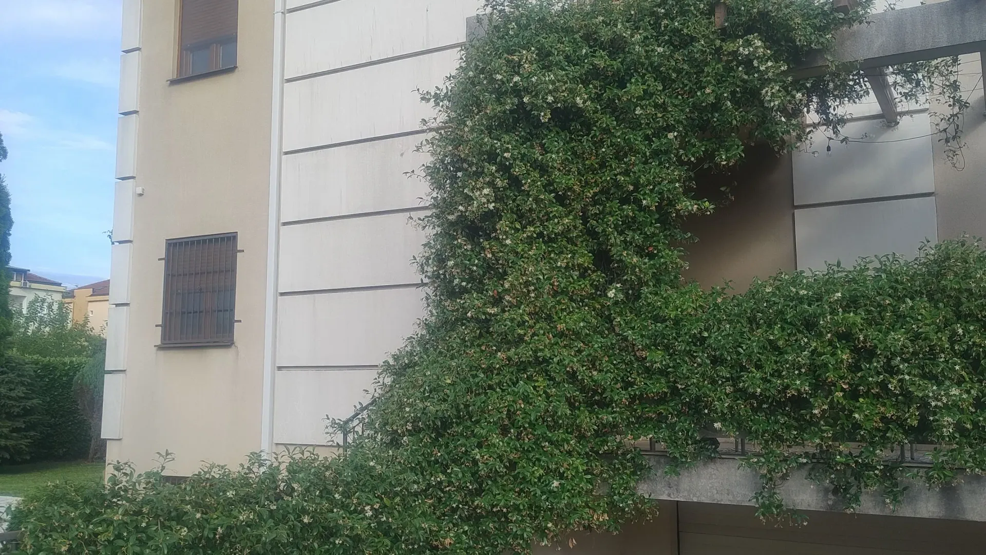 Rent, house, 262m², Zabjelo, Podgorica