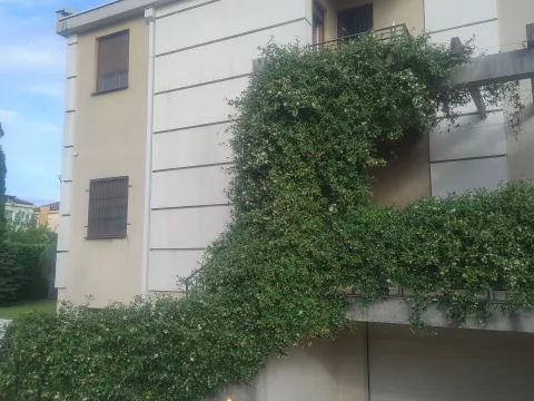 Rent, house, 262m², Zabjelo, Podgorica - image 5