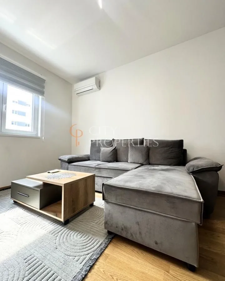 Izdavanje, stan, 46m², Stari Aerodrom, Podgorica