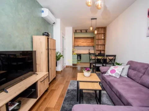 Rent, one bedroom apartment, 50m², Tološka šuma, Podgorica - image 8