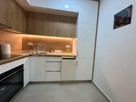 Rent, one bedroom apartment, 46m², New City, Podgorica - image 3