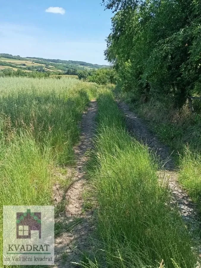 Prodaja, plac, 10000m², Draževac, Obrenovac