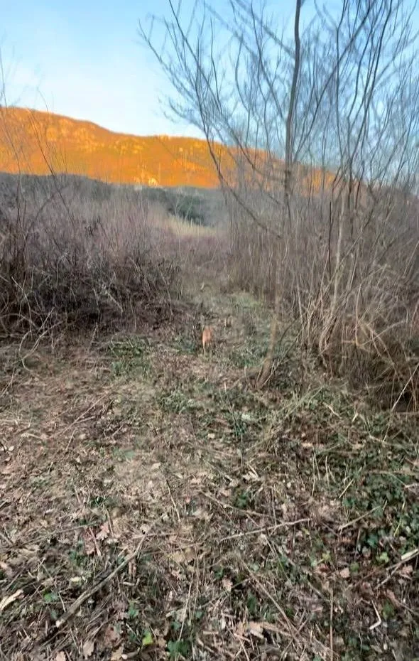 Prodaja, plac, 1100m², Kotor, Crna Gora