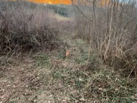 Prodaja, plac, 1100m², Kotor, Crna Gora - image 2