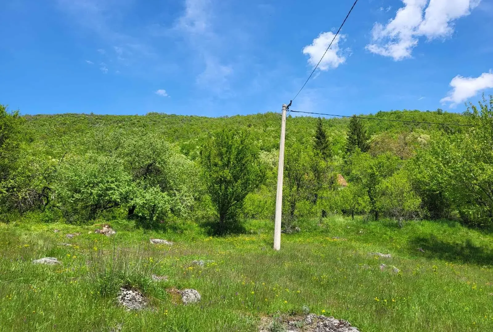 Prodaja, plac, 160000m², Nikšić, Crna Gora