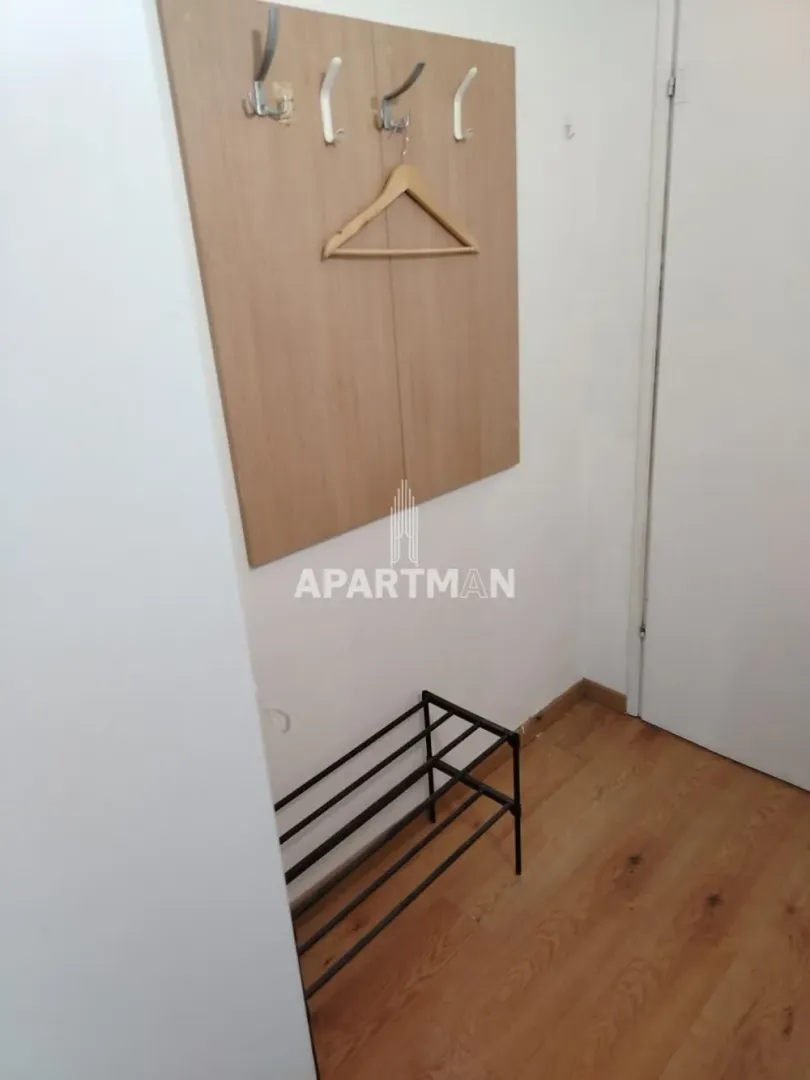 Izdavanje, jednosoban stan, 45m², Novi Beograd Blok 62, Novi Beograd Sve Podlokacije