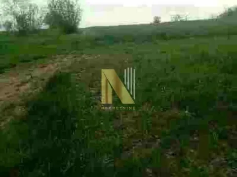 Prodaja, plac, 5060m², Čortanovci, Inđija - image 6