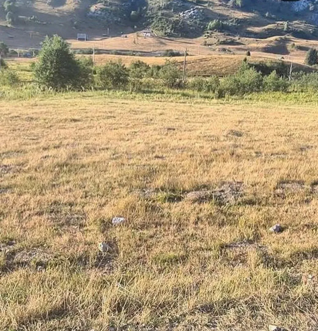 Prodaja, plac, 493m², Berane, Crna Gora