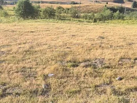 Prodaja, plac, 493m², Berane, Crna Gora - image 3