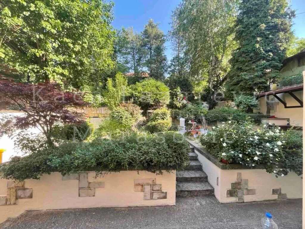 Pogled na zeleno dvorište puno stabala i rastinja sa stepeništem.