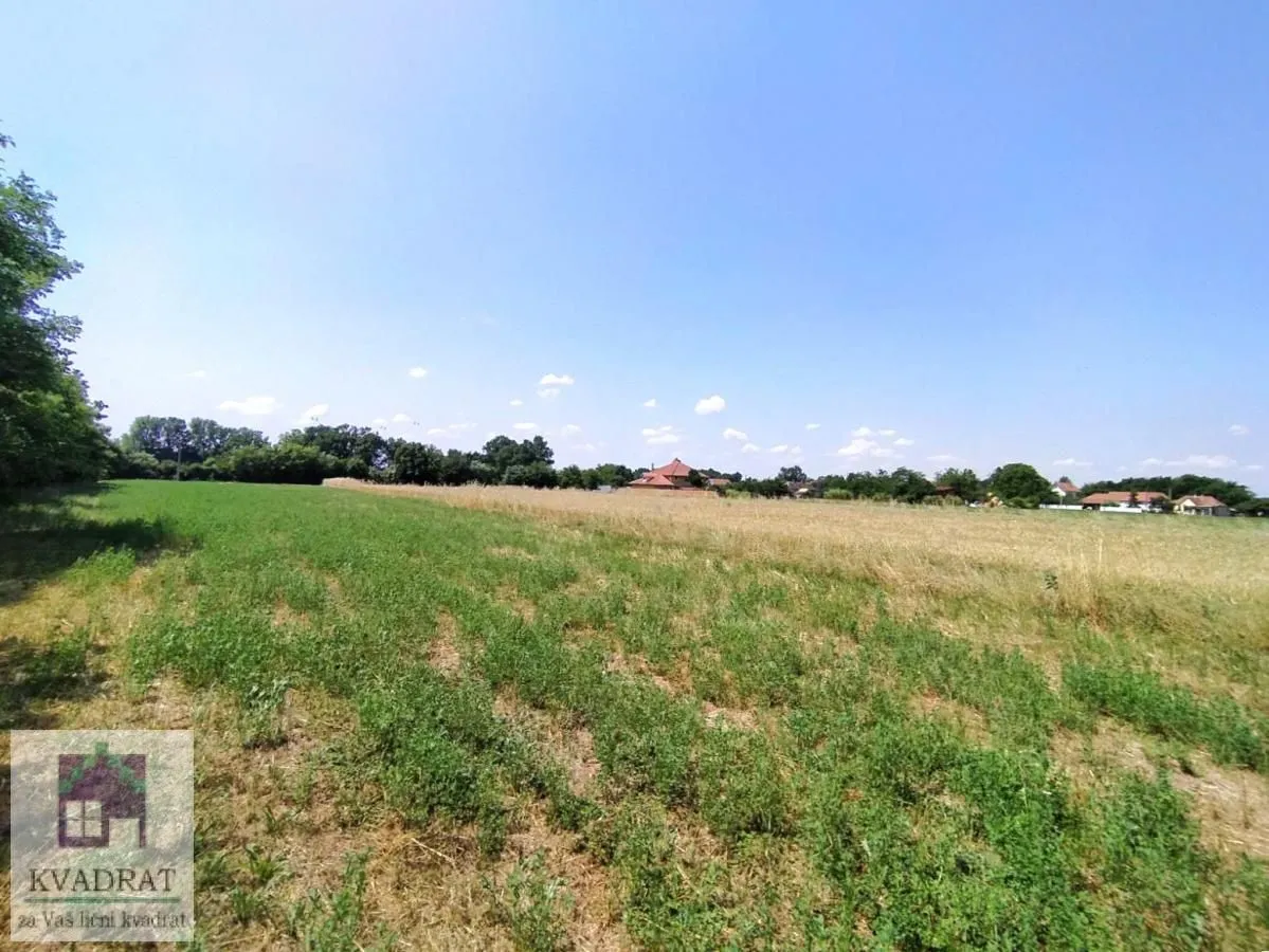Prodaja, plac, 10000m², Obrenovac, Beograd