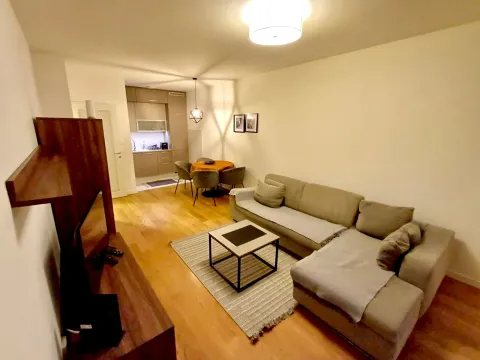 Rent, one bedroom apartment, 49m², Central Point, Podgorica - image 1