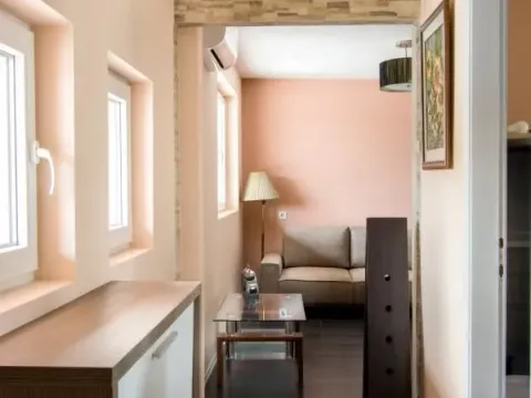 Izdavanje, dvosoban stan, 47m², Centar, Niš - image 3