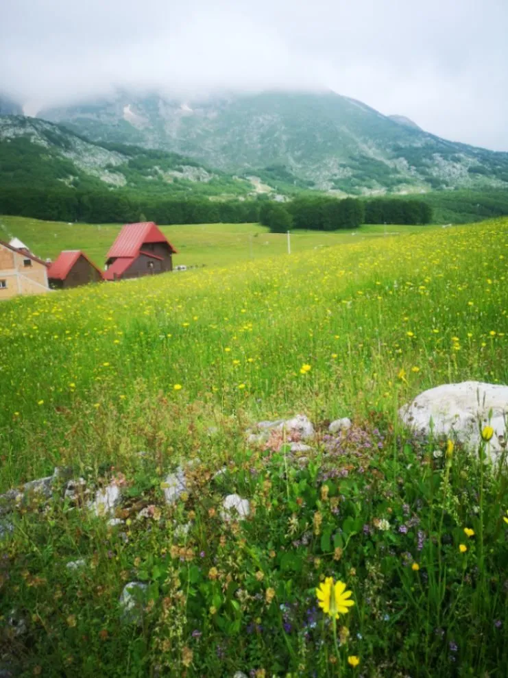 Prodaja, plac, 1708m², Pošćenski Kraj, Žabljak