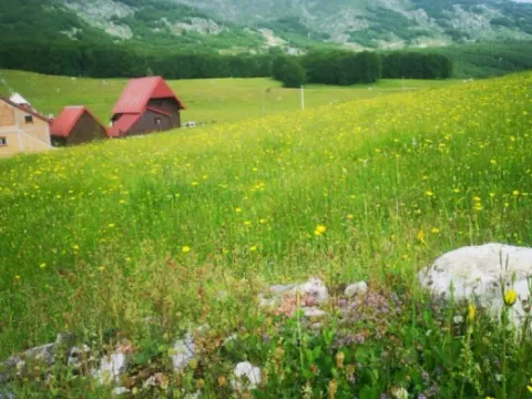 Sale, land lot, 1708m², Pošćenski Kraj, Žabljak - image 3