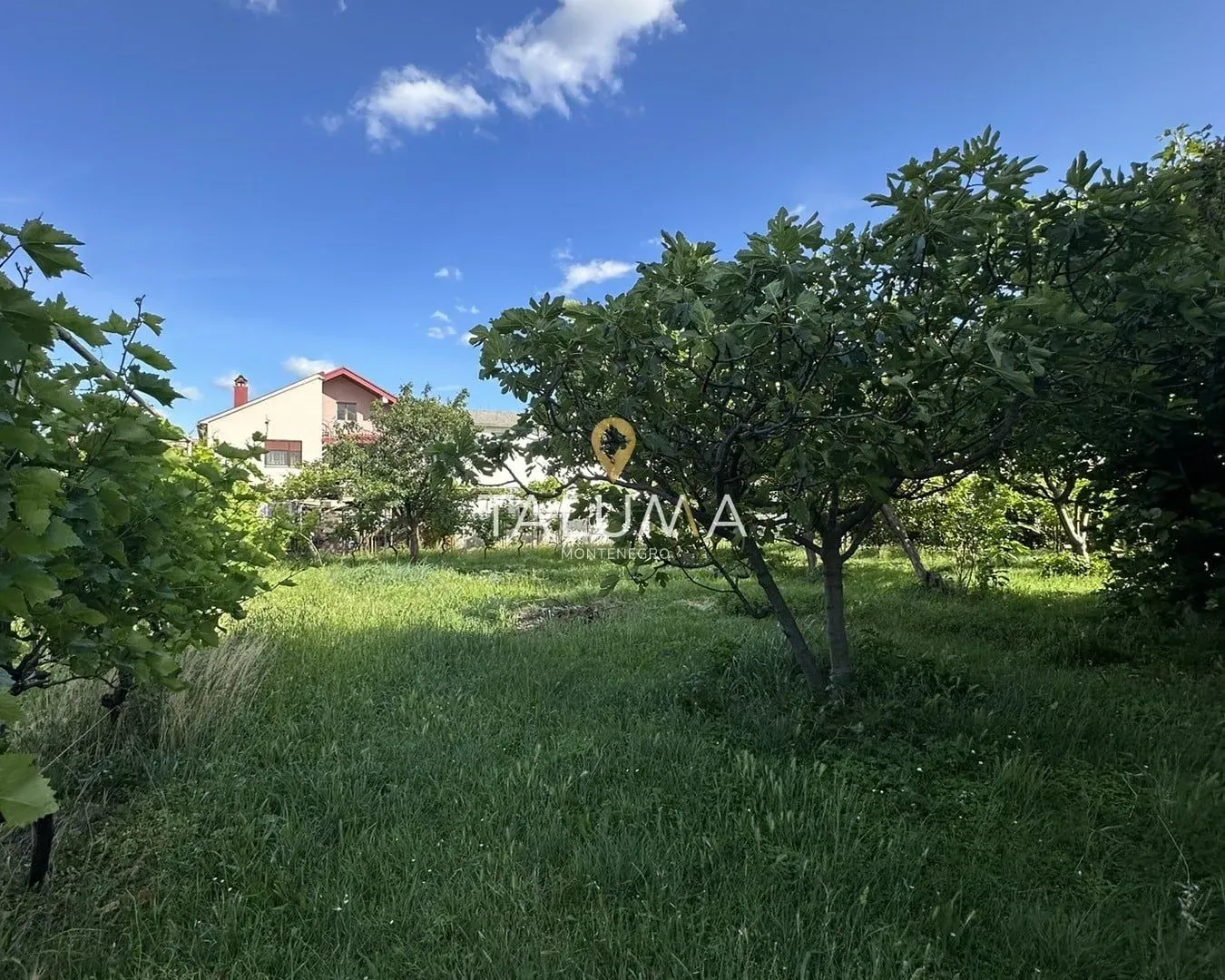 Sale, house, 318m², Zlatica, Podgorica