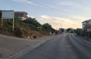Prodaja, plac, 2000m², Dobre Vode, Bar - Ansicht 6
