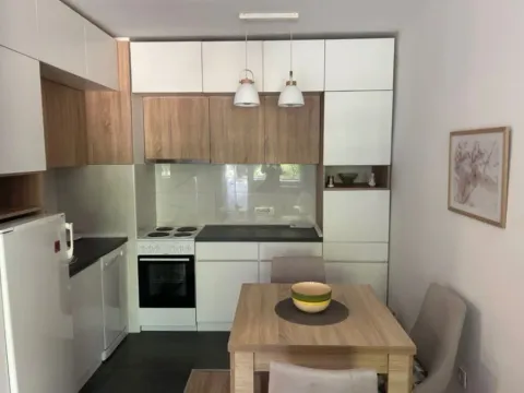 Izdavanje, jednosoban stan, 38m², Blok 5, Podgorica - image 6