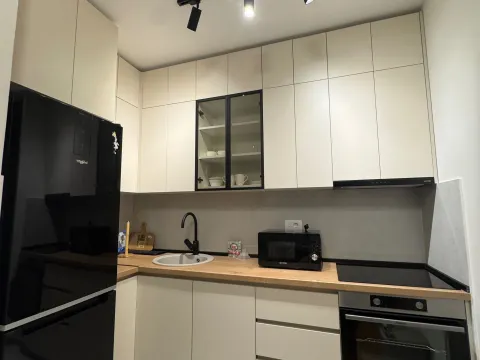 Rent, one bedroom apartment, 47m², Central Point, Podgorica - image 4