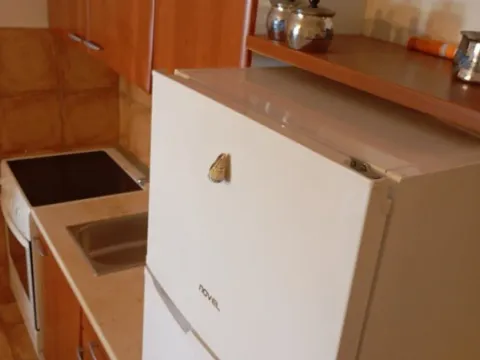 Daily-rent, one bedroom apartment, 54m², Bar, Crna Gora - image 5