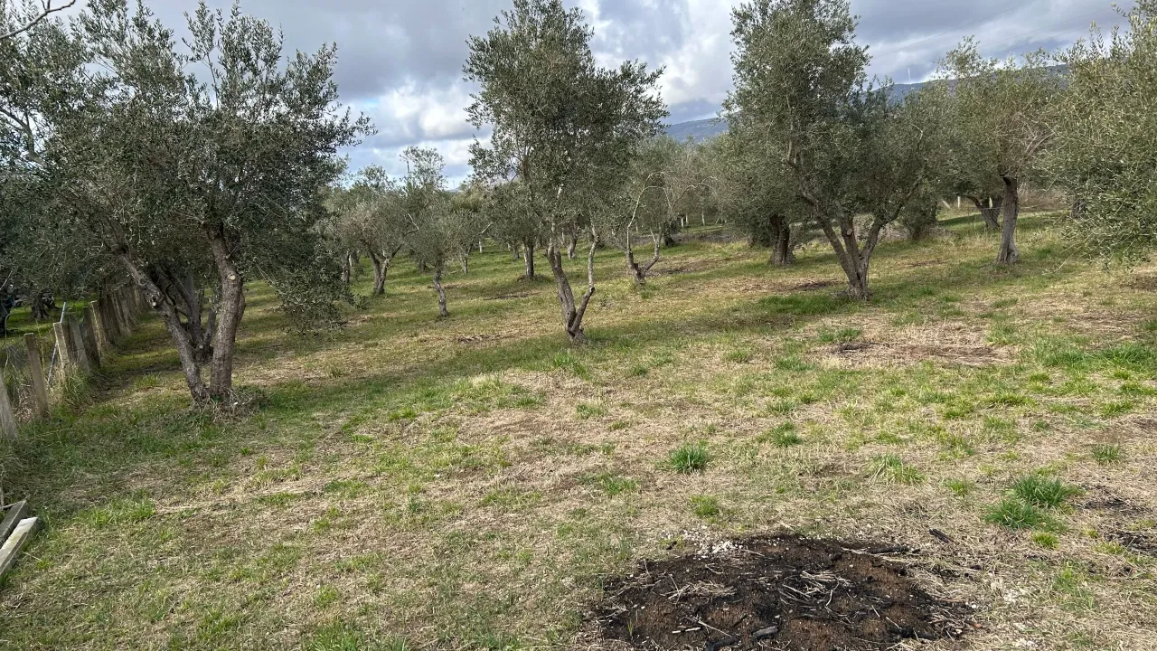 Sale, land lot, 1000m², Ulcinjsko Polje, Ulcinj