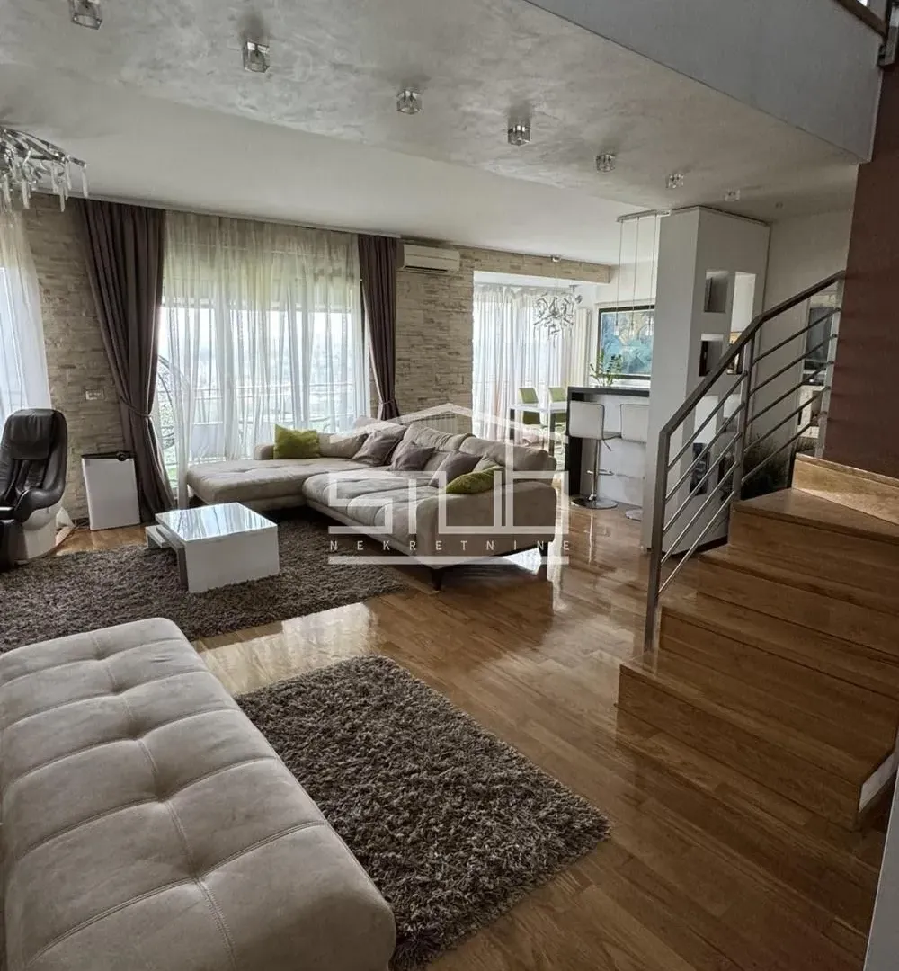 Sale, apartment, 270m², Stari Košutnjak, Rakovica