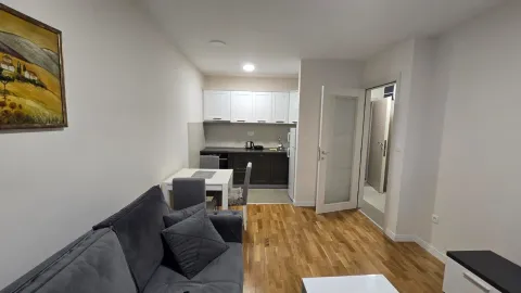 Rent, one bedroom apartment, 44m², Pobrežje, Podgorica - image 5
