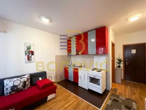 Dnevna soba sa kuhinjom i trosedom u uglu. - image 4