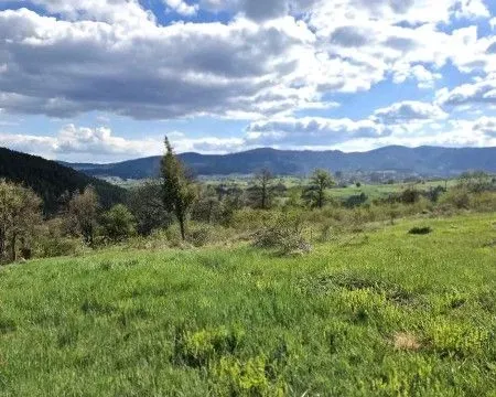 Sale, land lot, 2166m², Kremna, Užice - image 2
