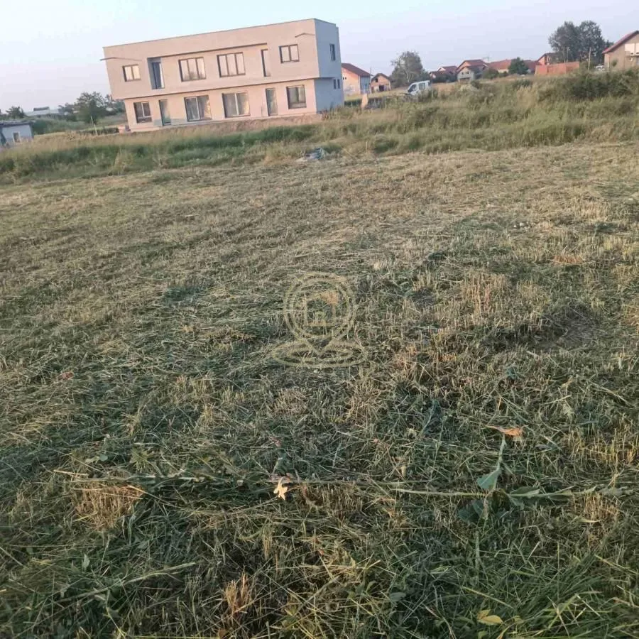 Prodaja, plac, 50000m², Veternik, Novi Sad Sve Podlokacije