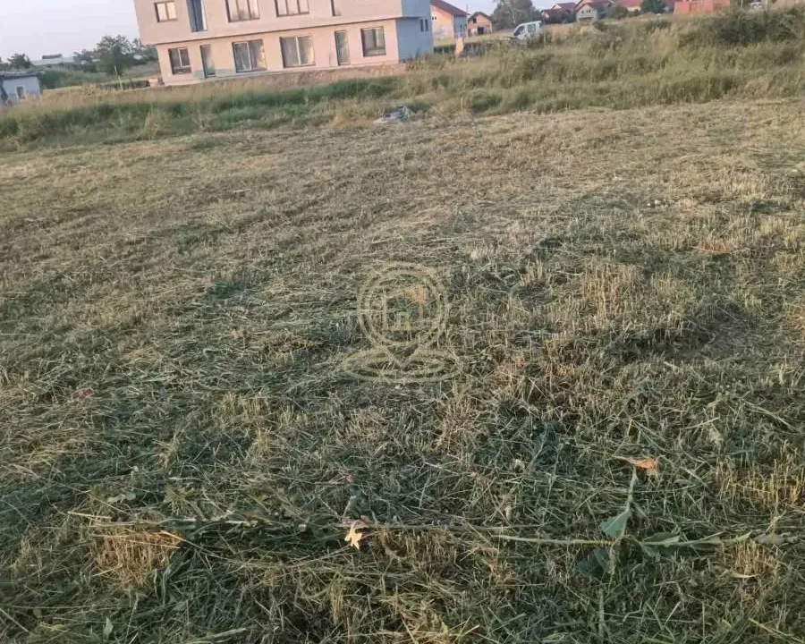 Sale, land lot, 50000m², Veternik, Novi Sad Sve Podlokacije