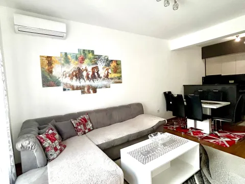 Rent, one bedroom apartment, 45m², Zabjelo, Podgorica - image 2