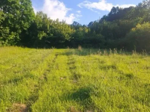 Sale, land lot, 3000m², Kruševac, Srbija - image 6